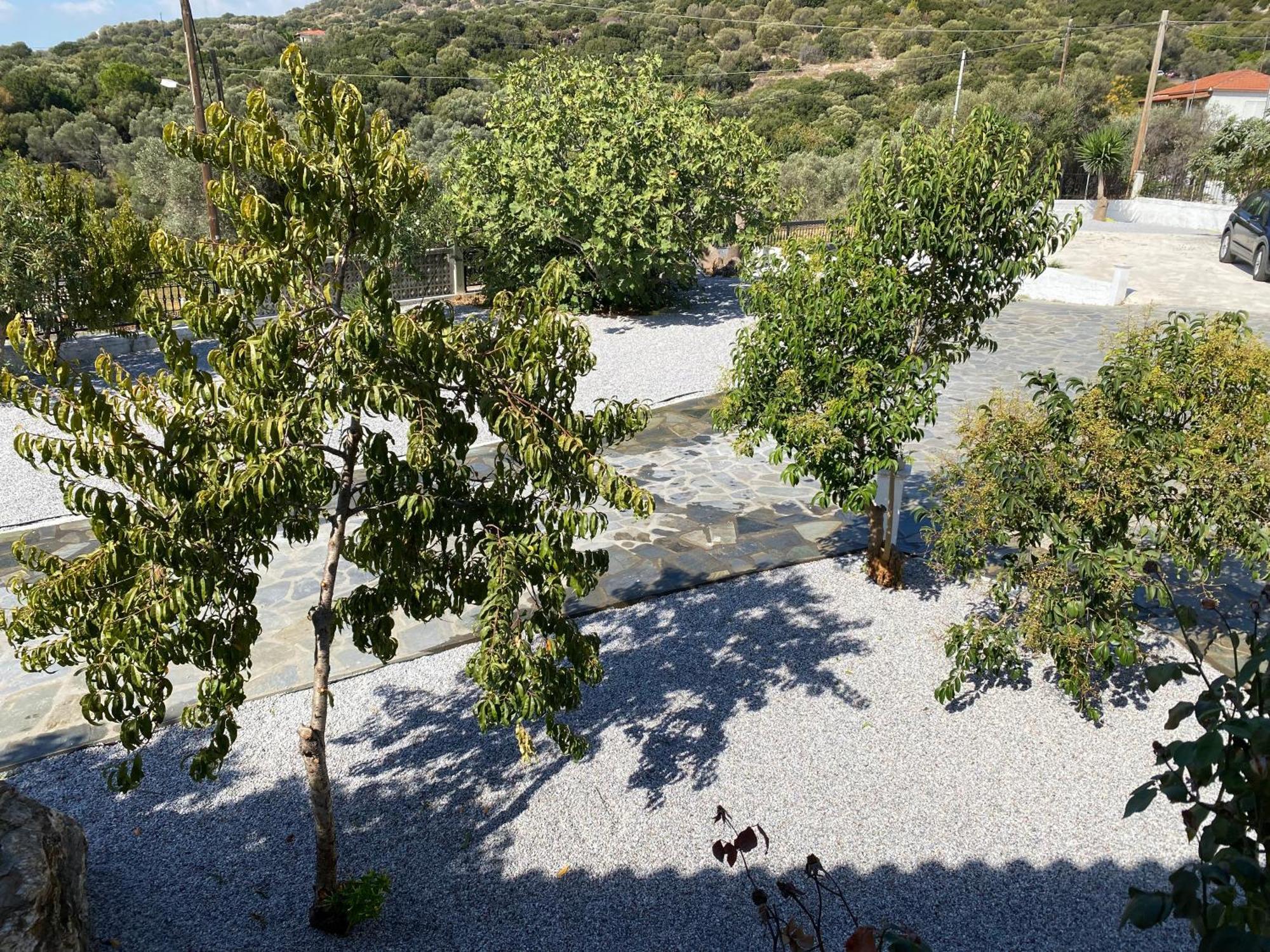 Villa Karras Pythagoreio  Bagian luar foto